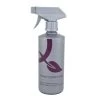 Lo-Chlor Aquaspa Spa Filter Klenz Cleaner 500mL Spray - Spa Chemical