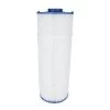 Poolrite CL55 / CL110 Pool Filter Cartridge - Water TechniX Element