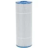 Poolrite Enduro Monarch Ecopure EC100 Pool Filter Cartridge - Water TechniX Element